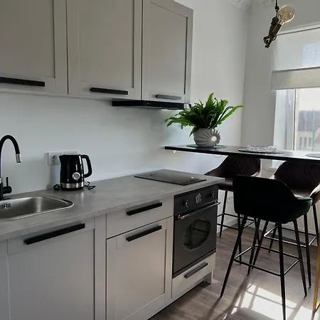 Centre Monkey Lägenhet Klaipėda