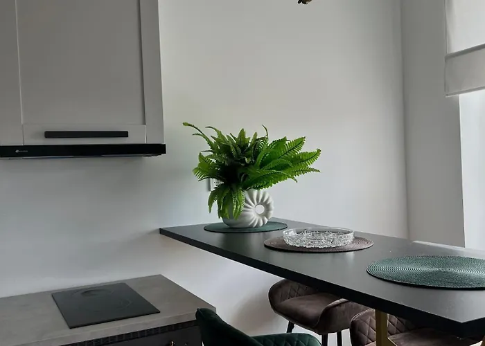 Centre Monkey Apartamento