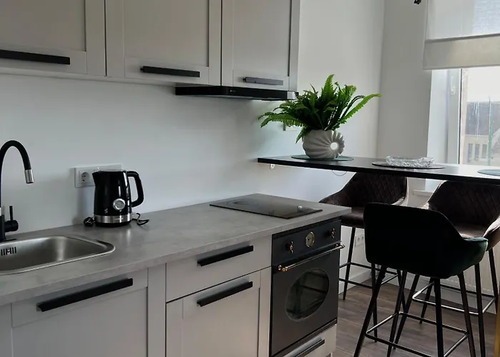 Centre Monkey Apartamento Klaipėda